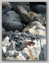 galapagos_sc_033.jpg