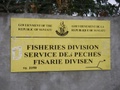 imgp0808.jpg